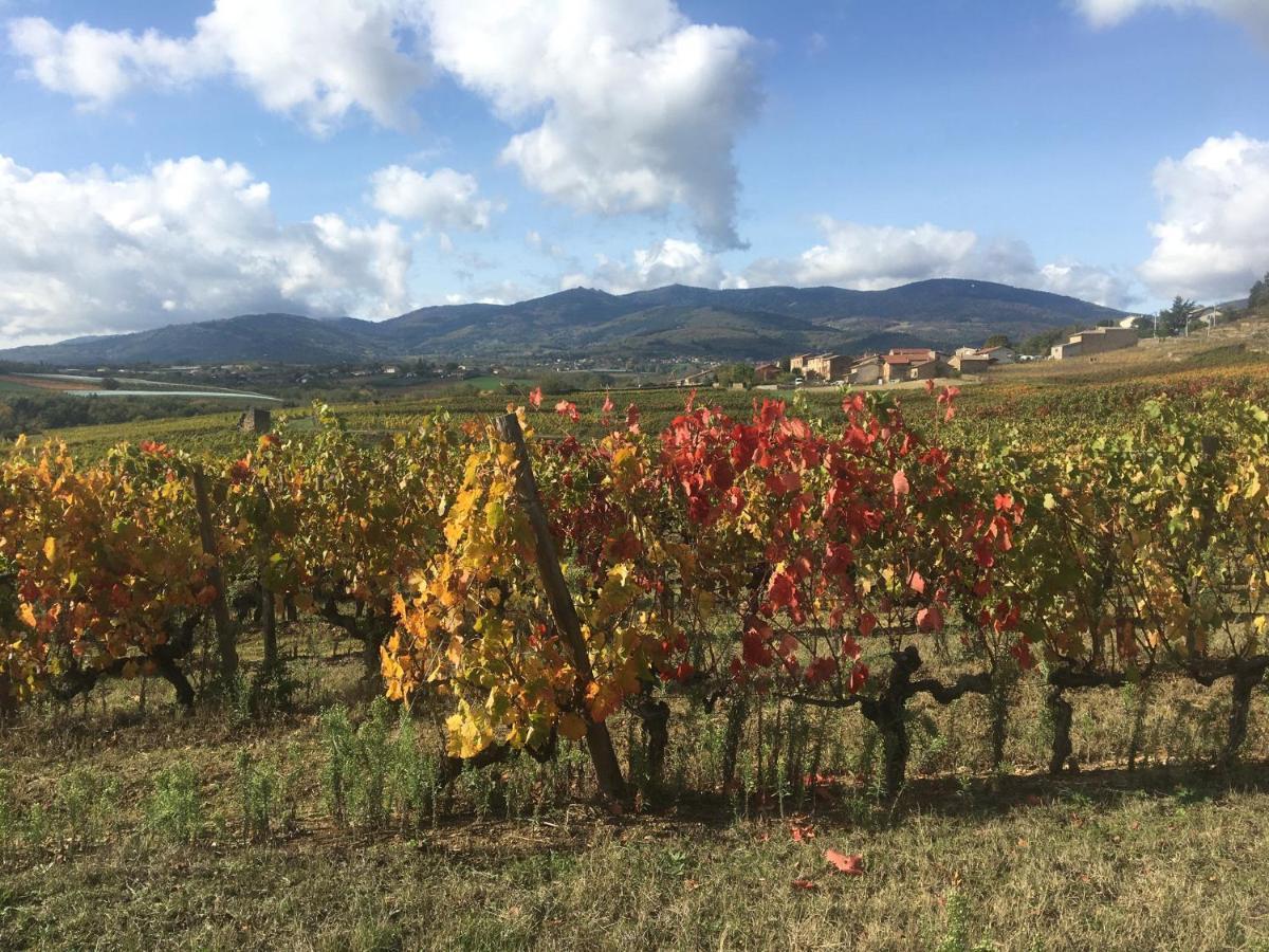 Chambre Spacieuse Le Clos Des Vignes Chavanay Luaran gambar