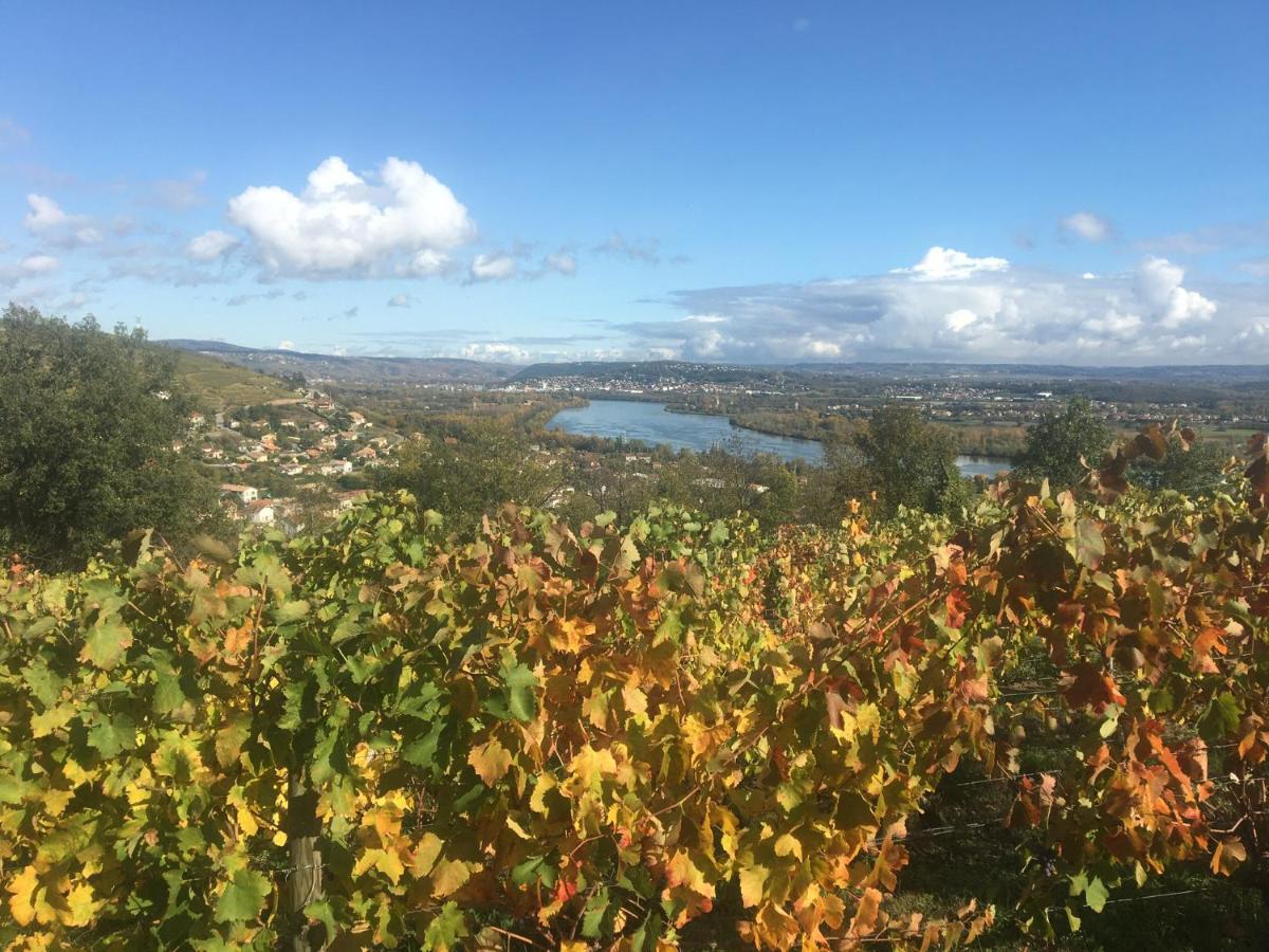 Chambre Spacieuse Le Clos Des Vignes Chavanay Luaran gambar